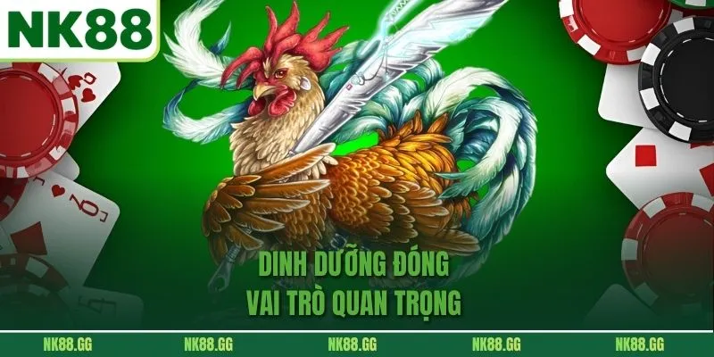 Dinh dưỡng đóng vai trò quan trọng